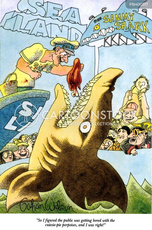 Dolphin Show Cartoons and Comics - funny pictures from CartoonStock