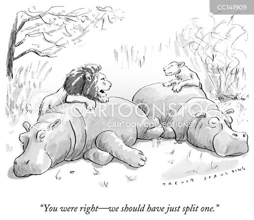 african safari cartoon with animal and the caption "You were right-we should have just split one." by Trevor Spaulding