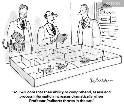 scientific research cartoon with animal and the caption "You will note that their ability to comprehend, assess and process information increases dramatically when Professor Podhertz throws in the cat." by Leo Cullum