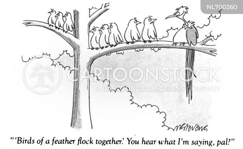 Birds Of A Feather Flock Together Cartoons And Comics Funny Pictures From Cartoonstock,How To Make Ribs On The Grill Tender