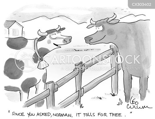 Bull Cartoons and Comics - funny pictures from CartoonStock