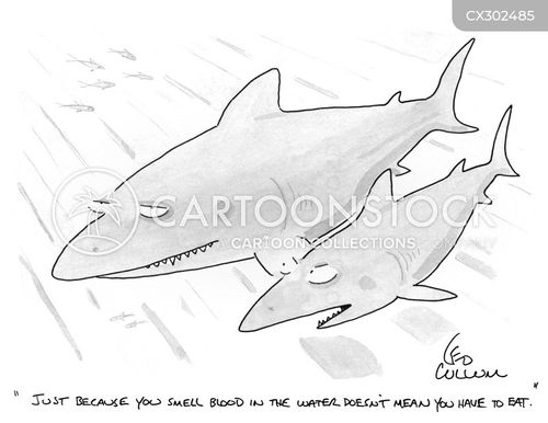Blood In The Water Cartoons and Comics - funny pictures from CartoonStock