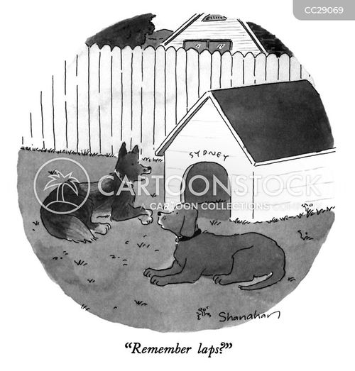 Dog House Cartoons and Comics - funny pictures from CartoonStock