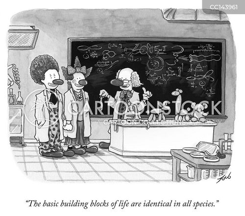 scientific research cartoon with biology and the caption "The basic building blocks of life are identical in all species." by Tom Toro