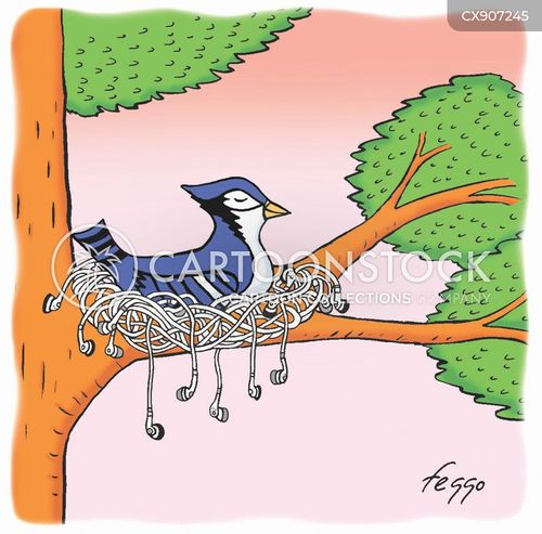 Blue Jays Cartoons and Comics - funny pictures from CartoonStock
