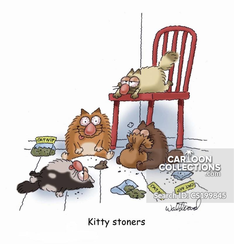 Kitty stoners.