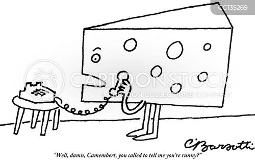 Cheese Block Cartoons and Comics - funny pictures from CartoonStock