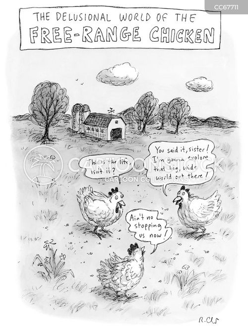 Funny Chicken Cartoons Jokes Chicken Cartoons and Comics funny pictures from CartoonStock