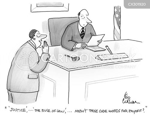 rule of law cartoon