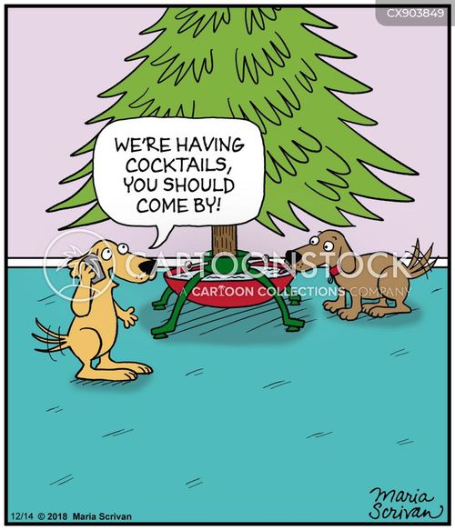 christmas tree funny dog