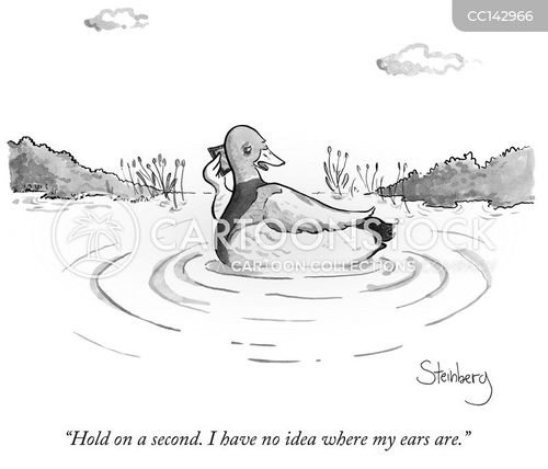 funny duck cartoon