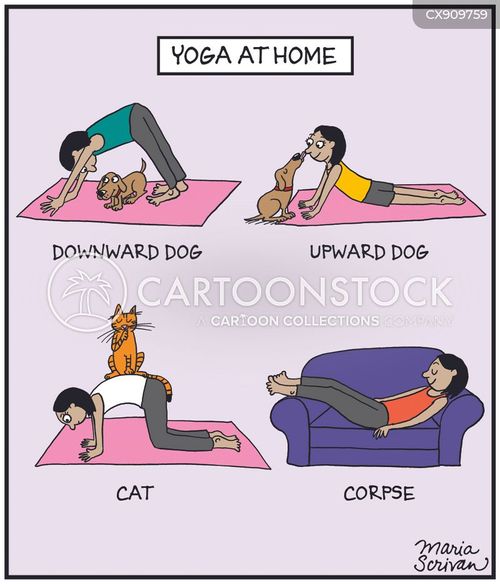 Yoga Position Cartoons and Comics - funny pictures from CartoonStock