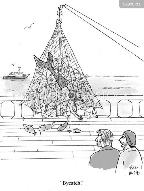 Fishing Trawlers Cartoons and Comics - funny pictures from CartoonStock