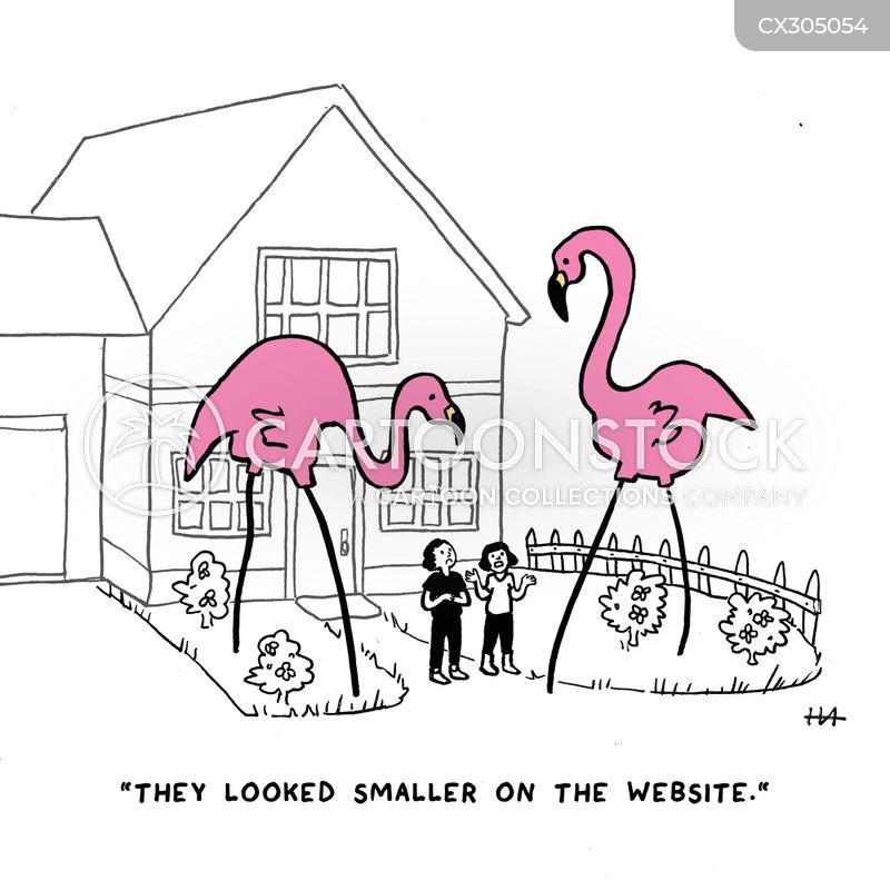 Flamingo Cartoons And Comics Funny Pictures From Cartoonstock