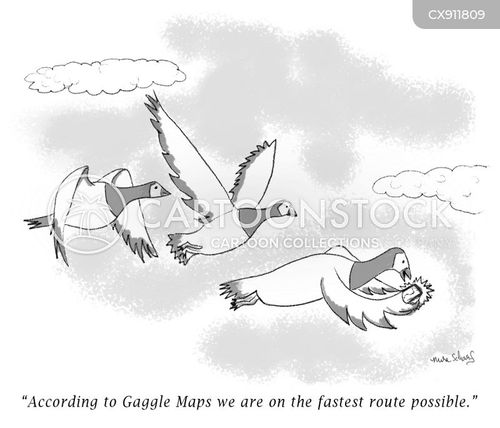 travel cartoon with goose and the caption "According to Gaggle Maps we are on the fastest route possible." by Mira Scharf