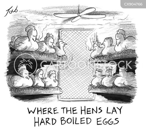 Hens Eggs Cartoons and Comics - funny pictures from CartoonStock