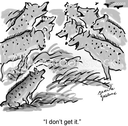 safari cartoon with hyena and the caption "I don't get it." by Benita Epstein