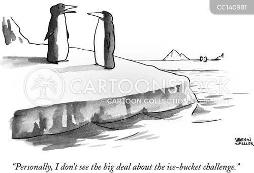 Polar Plunge Cartoons and Comics - funny pictures from CartoonStock