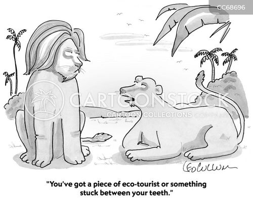 safari cartoon with lion and the caption "You've got a piece of eco-tourist or something stuck between your teeth." by Leo Cullum