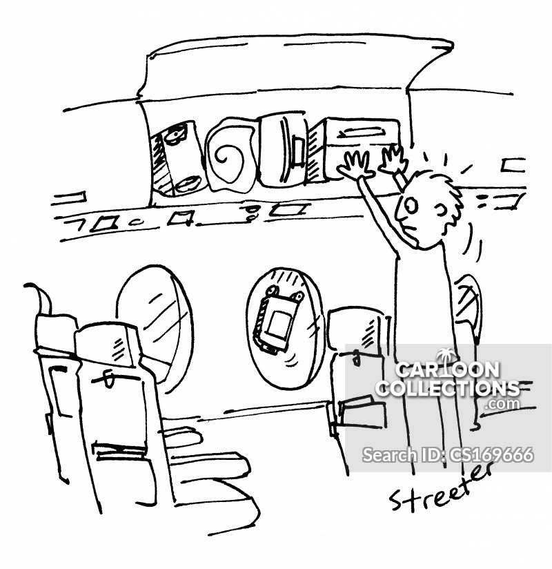 luggage bins