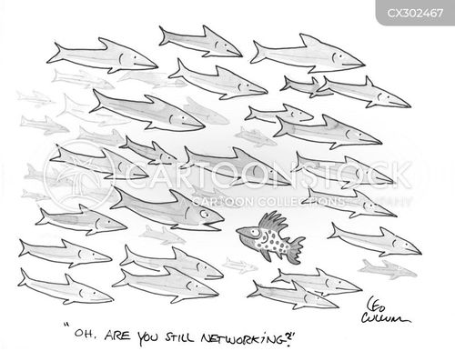 Shoal Of Fish Cartoons and Comics - funny pictures from CartoonStock