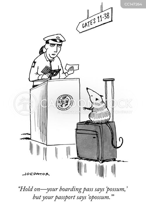 tourist cartoon with opossum and the caption "Hold on -- your boarding pass says 'possum,' but your passport says 'opossum.'" by Joe Dator