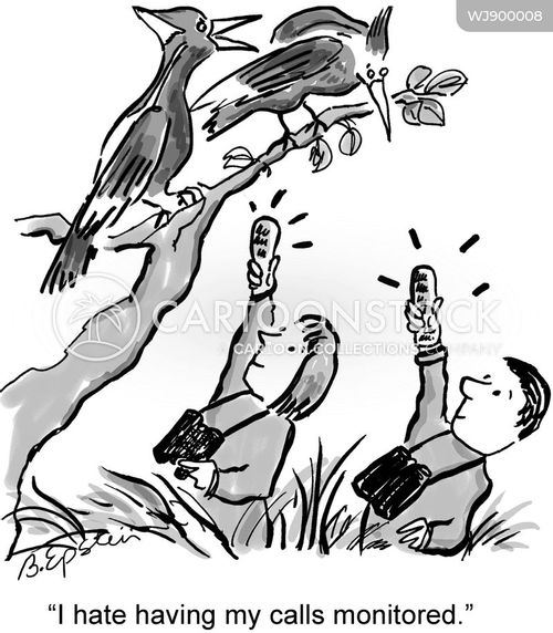 Bird-watcher Cartoons and Comics - funny pictures from CartoonStock