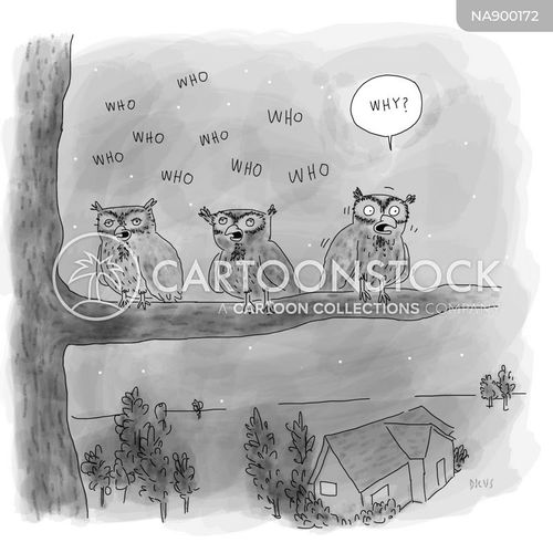 critical thinking cartoon with owl and the caption "Why?" by Andrew Dicus