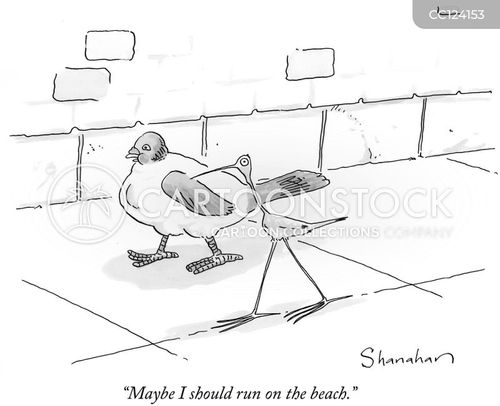 beach vacation cartoon with pigeon and the caption "Maybe I should run on the beach." by Danny Shanahan