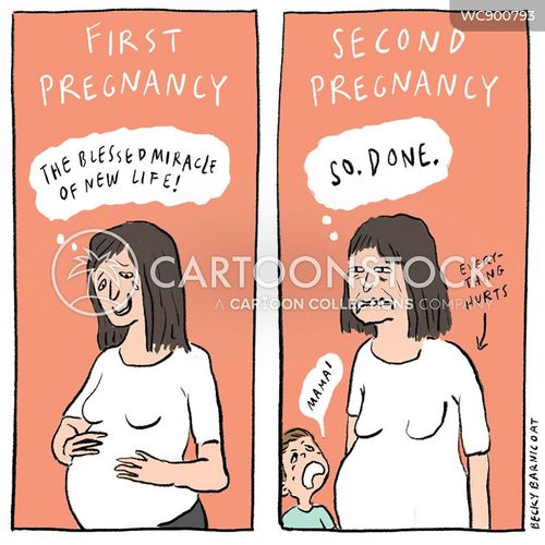 Confessions Of A First Time Pregnant Woman  Pregnant cartoon, Pregnancy  humor, Funny maternity pictures
