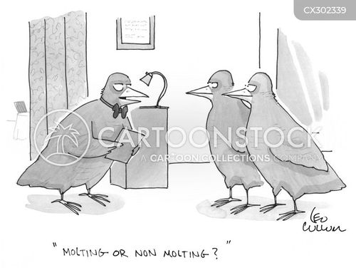 Avian Behaviour Cartoons and Comics - funny pictures from CartoonStock