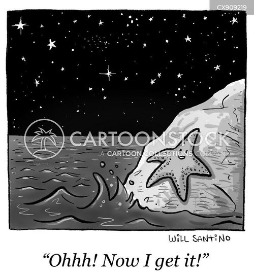 starfish cartoon