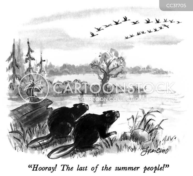 Beaver Cartoons and Comics - funny pictures from CartoonStock