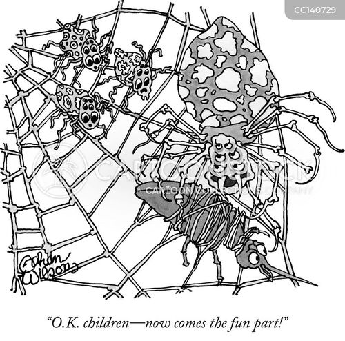 Spiderweb Cartoons And Comics Funny Pictures From Cartoonstock