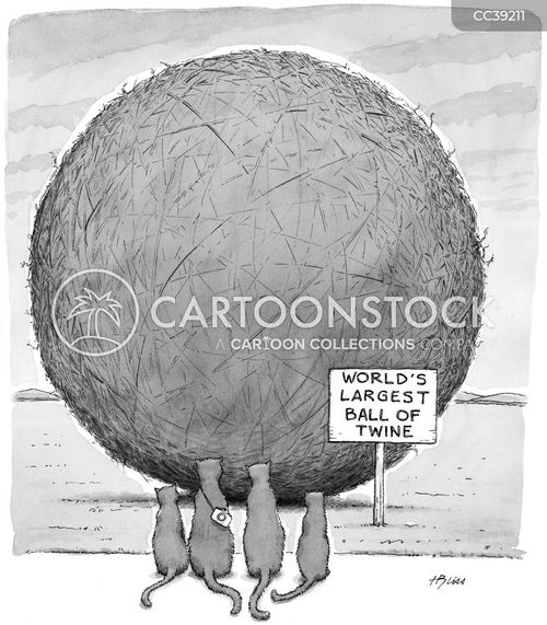 roadtrip cartoon with tourism and the caption World's Largest Ball Of Twine by Harry Bliss