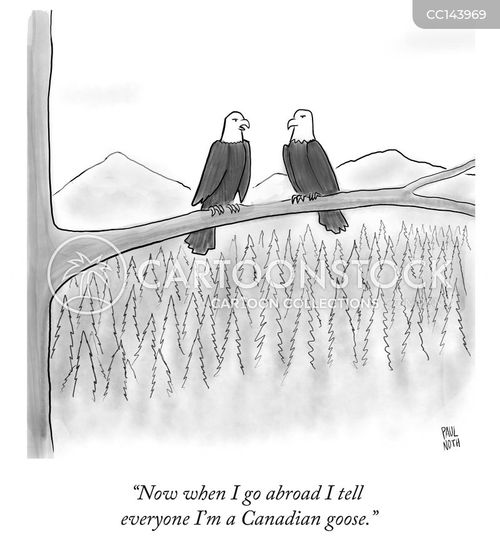 international travel cartoon with travel and the caption "Now when I go abroad I tell everyone I'm a Canadian goose." by Paul Noth