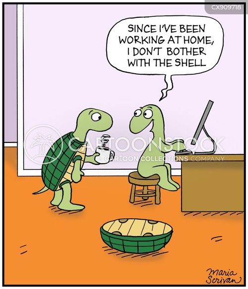 Turtle Cartoons and Comics - funny pictures from CartoonStock