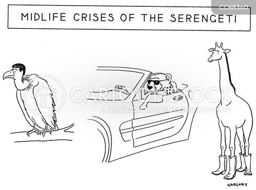 serengeti cartoon with wildlife and the caption Midlife crises of the Serengeti by Alex Gregory